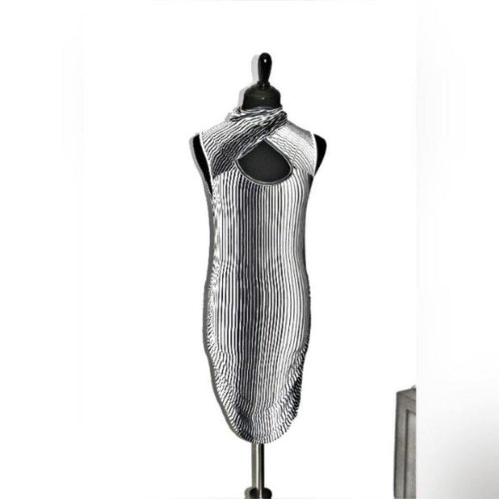 Arden B Black and White Striped Mini Dress